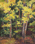 Aspen Study