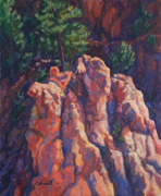 jemez rock and tree
