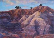 Painted Desert Evening #1