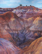 Painted Desert Evening