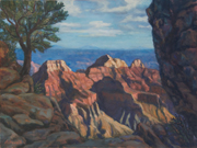 Glimpse of the Canyon Study