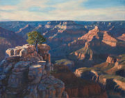 Late Afternoon Walk South Rim