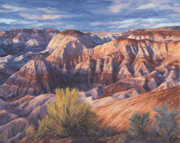 painted desert late afternoon