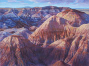 painted desert afternoon